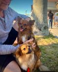 Load image into Gallery viewer, Sunshine Mi-Ki's "Archie"
