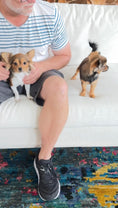 Load image into Gallery viewer, Halo Puppy Sunshine Mi-Ki’s 
