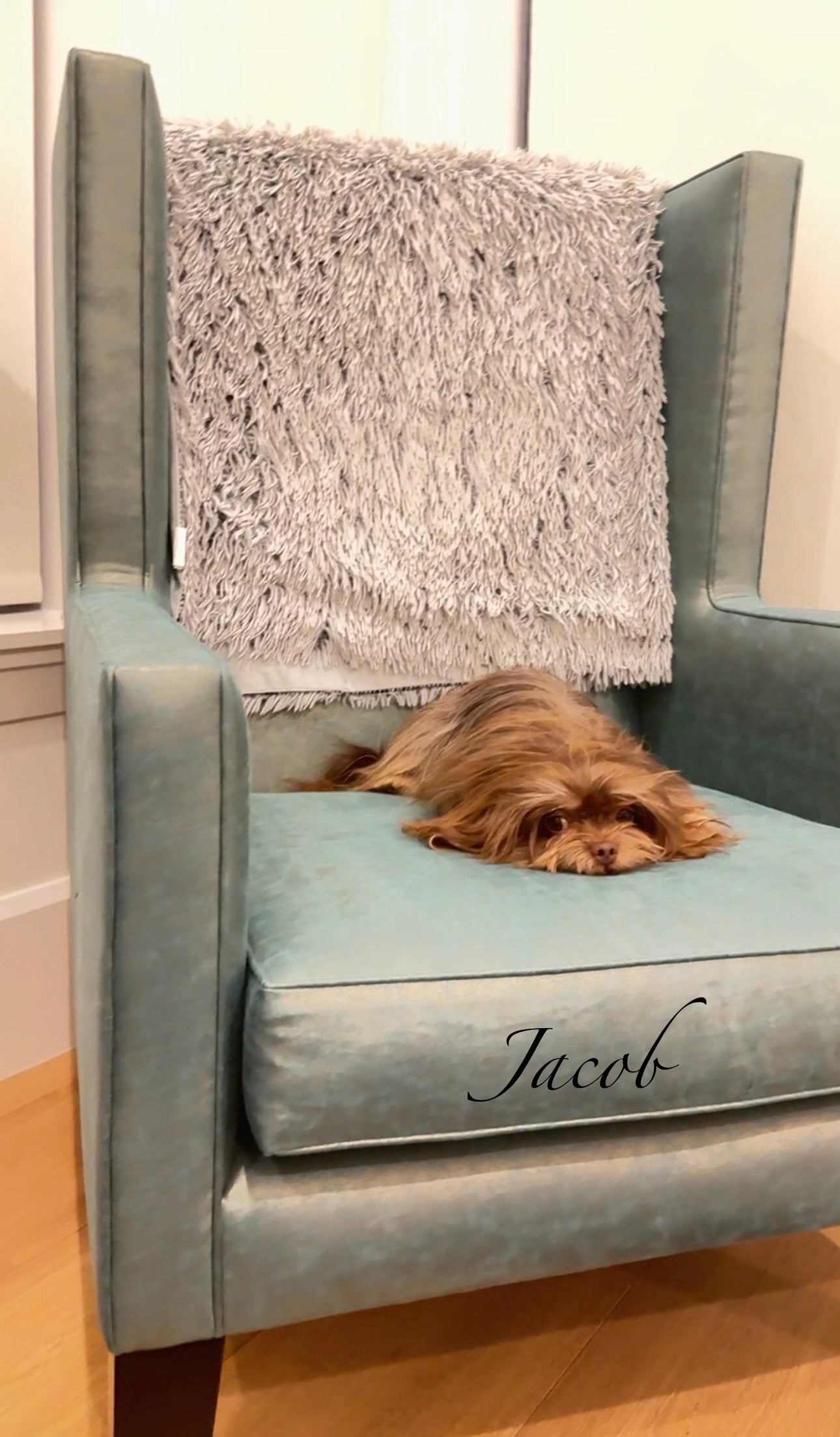 Sunshine Mi-Ki "Jacob"