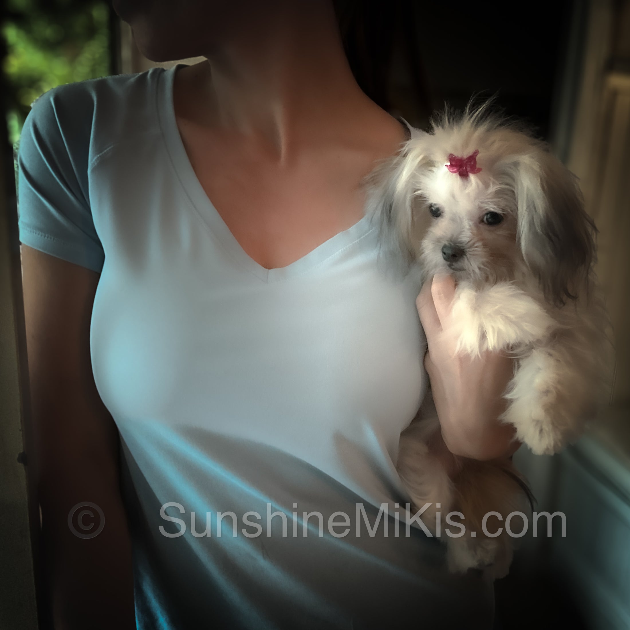 Sunshine Mi-Ki's "Livie"