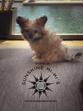 Load image into Gallery viewer, "Livie" - Sunshine Mi-Ki's
